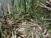 DSC00760