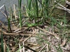DSC00761