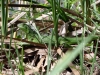 DSC00765