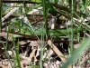 DSC00766