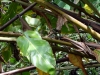 DSC00782