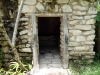 DSC00800