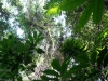 DSC00818