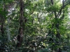 DSC00819