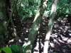 DSC00832