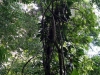 DSC00833