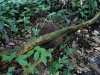 DSC00834