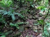 DSC00836