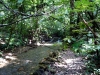 DSC00838