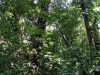 DSC00840