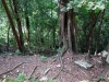 DSC00847