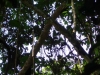 DSC00850